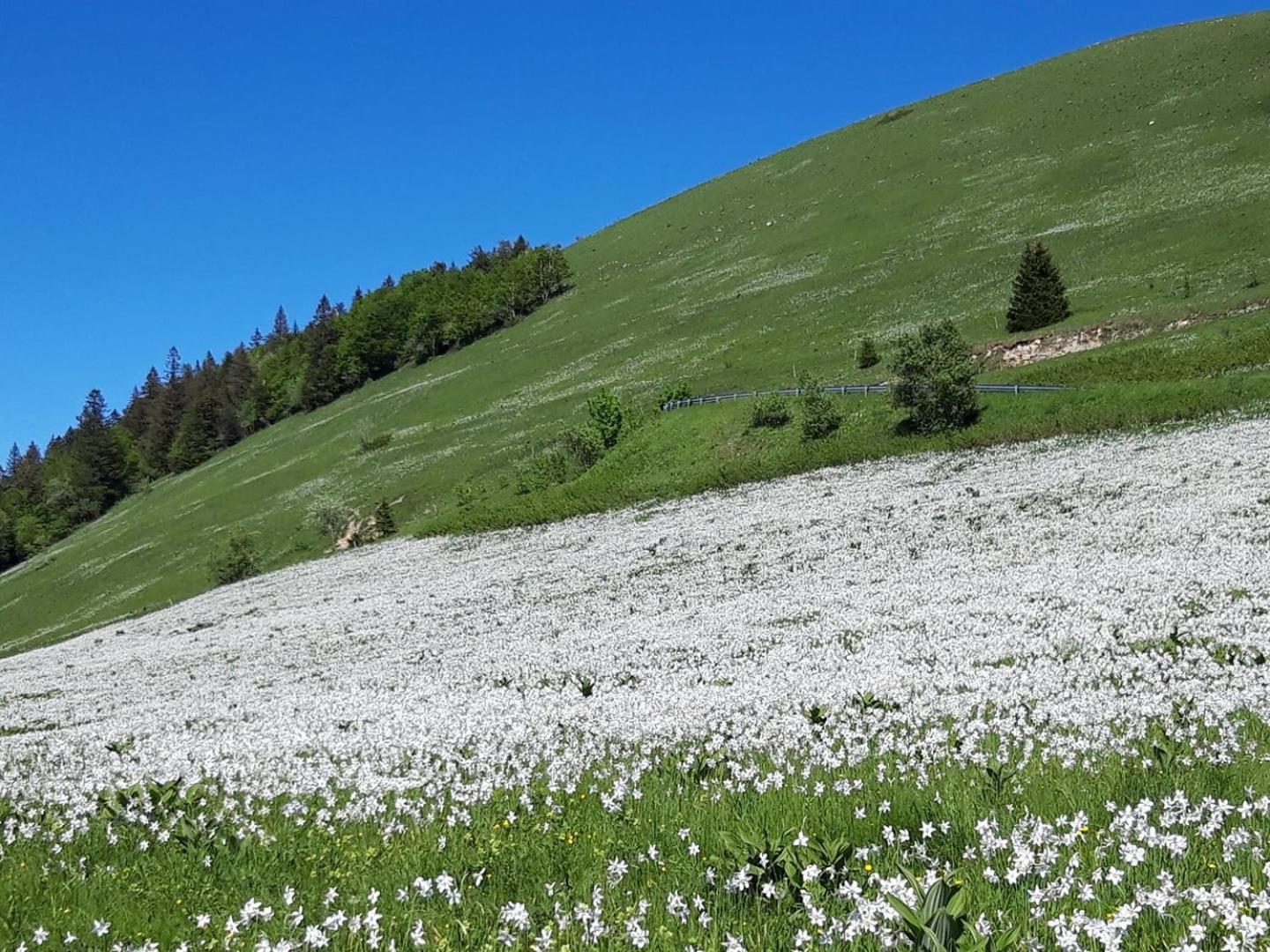 Valreley, Chambres Et Table D'Hotes Eco-Friendly Avec Bain Nordique Au Sud Du Massif Du Jura Champagne-en-Valromey Kültér fotó